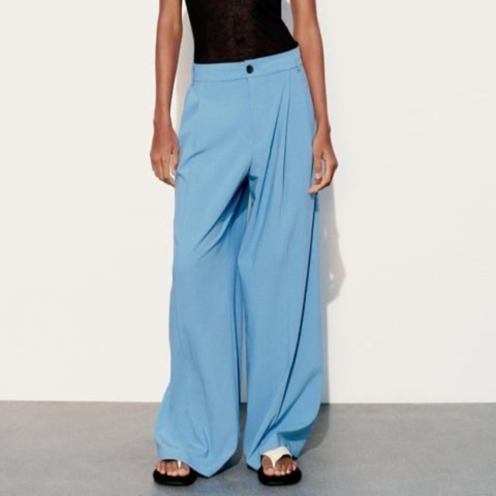 Zara pleated pants